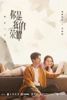 你是我的荣耀电视剧免费观看完整版