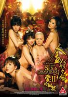 《金瓶梅II爱的奴隶》完整版电影在线观看—免费观看全集