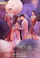 没有秘密的你_电视剧高清完整版免费在线观看_大陆剧